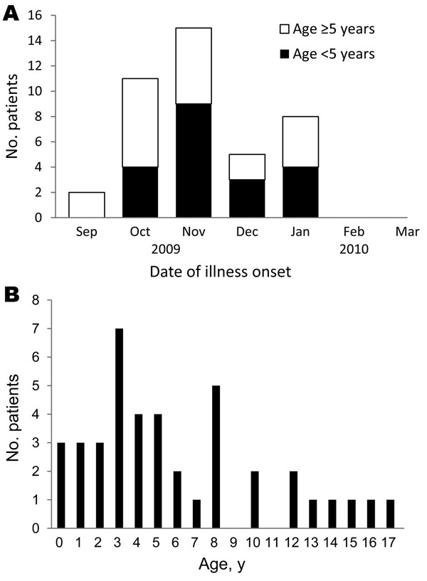 Timing of onset of pandemic (H1N1) 2009 in children and patient age, Japan, May 2009–March 2010. A) Date of illness onset for children &gt;15 years of age compared with those &lt;15 years of age. B) No. patients at each age at time of illness onset.