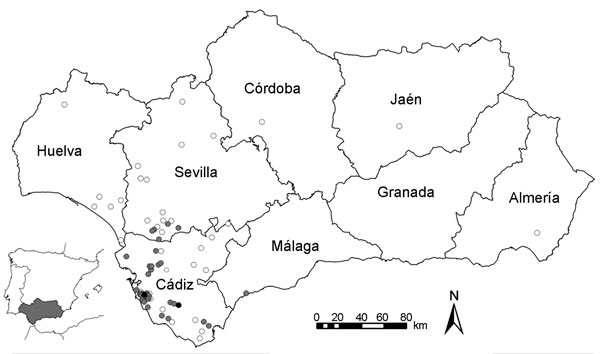 Spatial distribution of West Nile virus–infected horse herds (gray dots), virus-negative horse herds (white dots), and human cases (black dots) in Andalusia (southern Spain) at the end of 2010.