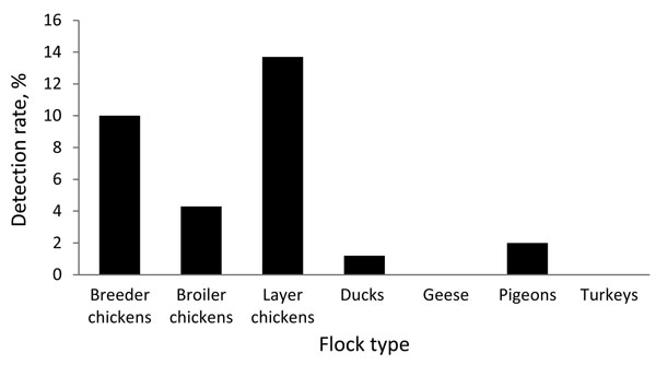 Rates of detection of influenza A (H5N1) virus by reverse transcription PCR, Egypt, August 2009–July 2010.