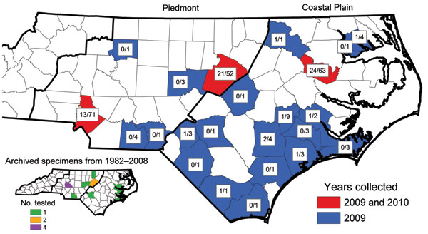 Distribution of Rickettsia parkeri–infected Amblyomma maculatum ticks collected in North Carolina, USA, during 2009−2010 and in archived specimens (inset). Numbers indicate total number positive for R. parkeri by PCR/total number tested in that county.