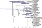 Thumbnail of Bayesian maximum-credibility tree representing the genealogy of rabies virus as obtained by analyzing nucleotide sequences of full N gene sequences (1,350 nt). Nodes correspond to mean age at which lineages are separated from the most recent common ancestor; blue horizontal bars at nodes represent 95% highest posterior density of the most recent common ancestor. Numbers at main nodes represent posterior values. Horizontal axis at bottom represents time scales in years, beginning at 