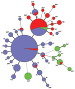 Thumbnail of Multilocus variable-number tandem repeat analysis types (MT) of 260 Bordetella pertussis isolates collected in Denmark during 1949–2010. A minimum spanning tree based on the categorical clustering of MTs. Each MT is represented by a circle, and the Dutch type name (15) is indicated. MTs connected by heavy short lines, thinner lines, dashed lines, and spotted lines designate 1, 2, 3, and 4 loci differences, respectively. *New MTs detected in this study. Circle size indicates the numb