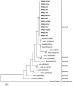 Thumbnail of Phylogenetic tree of partial hexon gene sequences (160 bp) of human adenovirus inferred by using the neighbor-joining method from the MEGA4 software (www.megasoftware.net). Study was in a police training center, Kuala Lumpur, Malaysia, 2011. The evolutionary distances were computed by using the maximum composite likelihood method. Species A–F are indicated by square brackets with duck adenovirus A as an outgroup. Thirteen human adenovirus isolates from the police training center out