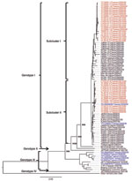 Thumbnail of Phylogenetic analysis of Japanese encephalitis virus (JEV) isolates from Taiwan, 2009–2010. The phylogenetic tree construction was based on full-length envelope protein sequences by using the neighbor-joining method. JEV isolates obtained in this study are indicated in red, and isolates obtained by the Taiwan Centers for Disease Control are indicated in blue (9). Bootstrap values &gt;700 are shown (1,000 replicates). Scale bar represents nucleotide substitutions per site.