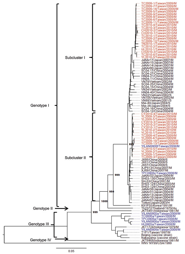 Phylogenetic analysis of Japanese encephalitis virus (JEV) isolates from Taiwan, 2009–2010. The phylogenetic tree construction was based on full-length envelope protein sequences by using the neighbor-joining method. JEV isolates obtained in this study are indicated in red, and isolates obtained by the Taiwan Centers for Disease Control are indicated in blue (9). Bootstrap values &gt;700 are shown (1,000 replicates). Scale bar represents nucleotide substitutions per site.