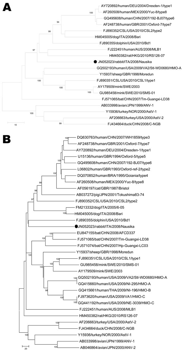 Phylogenetic trees constructed on the partial (245 aa) RNA-dependent RNA polymerase (panel A, RdRp) (open reading frame [ORF] 1b) and the full-length capsid precursor (panel B, ORF2) amino acid sequences. Black circles indicate strain identified in this study. The trees were constructed by using a selection of astrovirus (AstV) strains. Country names are abbreviated. Scale bars indicate the number of amino acid substitutions per 100 residues. Bootstrap values &lt;90% are not shown. CSL, Californ
