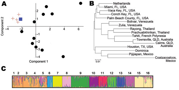 A) Principal components analysis based on pairwise population chord distances. The Adedes aegypti mosquito population in the Netherlands is represented by a blue square, the Florida, USA, populations by red crosses, and all other populations by black circles. B) Neighbor-joining network based on chord distances. QLD, Queensland. Scale bar indicates nucleotide substitutions per site. C) Individual mosquito–based Bayesian cluster analysis (K = 11) of the Ae. aegypti mosquito samples from the Nethe