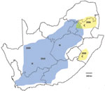 Thumbnail of Recent outbreaks of Rift Valley fever in South Africa. Lineage C virus (yellow areas), which caused a small outbreak in Kruger National Park in 1999, was associated with scattered outbreaks of disease in adjacent parts of northeastern South Africa in 2008 and limited outbreaks to the south in KwaZulu-Natal Province early in 2009. Lineage H virus (blue area), which was first encountered in the Caprivi Strip of Namibia in 2004, caused focal outbreaks in the Northern Cape Province late