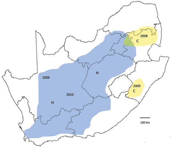 Recent outbreaks of Rift Valley fever in South Africa. Lineage C virus (yellow areas), which caused a small outbreak in Kruger National Park in 1999, was associated with scattered outbreaks of disease in adjacent parts of northeastern South Africa in 2008 and limited outbreaks to the south in KwaZulu-Natal Province early in 2009. Lineage H virus (blue area), which was first encountered in the Caprivi Strip of Namibia in 2004, caused focal outbreaks in the Northern Cape Province late in 2009, and