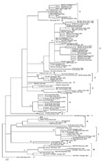 Thumbnail of Maximum-likelihood tree for a 490-nt section of the Gn glycoprotein gene of 111 isolates and derived strains of Rift Valley fever virus from Africa and Saudi Arabia, 1944–2010. The 95 unique sequences sorted into 15 lineages (A–O). Mean pairwise distances (p-distances) were &lt;0.017 within lineages, and bootstrap values were &gt;70%. Scale bar indicates substitutions per site. CAR, Central African Republic; SNS, Smithburn neurotropic strain.