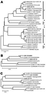 Thumbnail of Human cardiovirus phylogeny including novel viruses from myocardial tissue and cerebrospinal fluid. A) The 798-nt complete viral protein (VP) 1 phylogeny, with genotypes indicated to the right. Vilyuisk virus was used as an outgroup. B) The 802-nt partial 5′ untranslated region phylogeny of genotype 2 human cardioviruses. C) The 489-nt complete leader, complete VP4 and partial VP2 phylogeny of genotype 2 human cardioviruses. Neighbor-joining phylogenies were calculated with MEGA5 (w