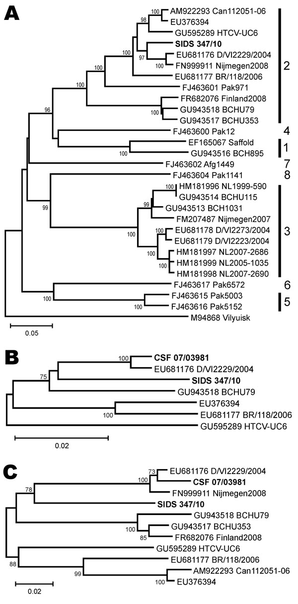 Human cardiovirus phylogeny including novel viruses from myocardial tissue and cerebrospinal fluid. A) The 798-nt complete viral protein (VP) 1 phylogeny, with genotypes indicated to the right. Vilyuisk virus was used as an outgroup. B) The 802-nt partial 5′ untranslated region phylogeny of genotype 2 human cardioviruses. C) The 489-nt complete leader, complete VP4 and partial VP2 phylogeny of genotype 2 human cardioviruses. Neighbor-joining phylogenies were calculated with MEGA5 (www.megasoftwa