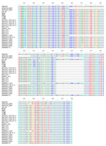Thumbnail of Alignment of amino acid sequences of partial nonstructural protein 2 corresponding to aa 404–640 of ORF1a for porcine reproductive and respiratory syndrome virus (PRRSV) isolates. Sequences are for PRRSV from infected herds in Thailand; highly pathogenic PRRSV isolates from the People’s Republic of China and Vietnam; and strain VR2332, the North American PRRSV prototype. Dashes represent deletions of amino acid residues. 