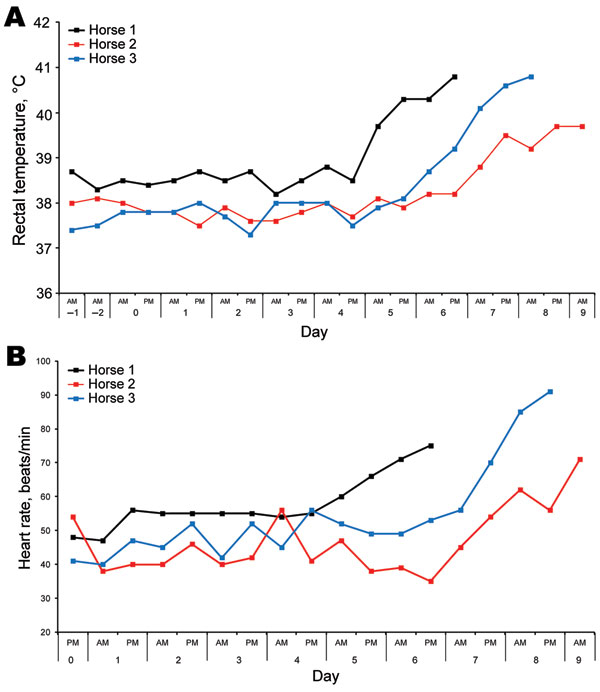 Rectal temperatures (A) and heart rates (B) of each horse after experimental infection with Hendra virus, Australia. Data were collected by using an electronic monitor 2×/d, along with comments on general demeanor. Data were used to determine a humane endpoint for each animal.