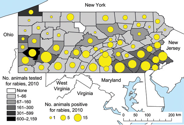 Reports of suspected and confirmed rabies among all animals (excluding bats) in Pennsylvania, 2010.