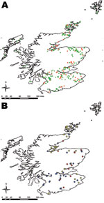 Thumbnail of Location of farms sampled in 2002–2004 field survey for Escherichia coli O26, Scotland. A) Farms that were positive for E. coli O26 are shown in red; farms negative for E. coli O26 are shown in green. B) The positive farms were subdivided according to differences in virulent properties of E. coli O26 (farm status) based on the possession of stx. Farms were designated as stx– (blue), stx1+ (yellow), or stx1+stx2+ (red).