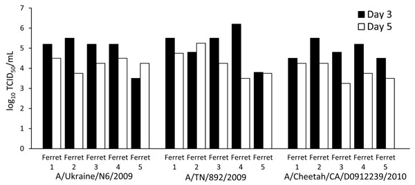 Virus concentration (50% tissue culture infectious dose) in nasal secretions of 3 groups of ferrets (5 animals/group) experimentally infected with different strains of pandemic (H1N1) 2009. In all 3 groups, viral shedding was detected on days 3 and 5, with the virus being cleared by day 7. NW, nasal wash.