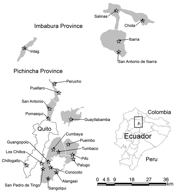 Probable extent of highland valley malaria incidence (shaded areas) during the early 1940s in Ecuador. Stars indicate approximate location of original towns to which malaria was reported as endemic, judged by the presence of the historical town square in Google Earth satellite imagery (Google, 2010). Shading was determined by the valley bottom with an affected town up to an altitude of 2,500 m. Inset: Approximate location of region in Ecuador. Data were obtained from Levi Castillo (17), Montalva