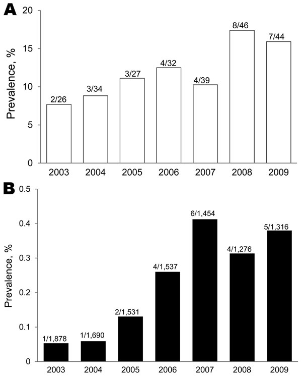 Annual prevalence of amebic colitis in persons with or without HIV infection, Japan, 2003–2009. A) HIV-positive patients. B) HIV-negative patients. Values above bars are no. positive/no. tested.