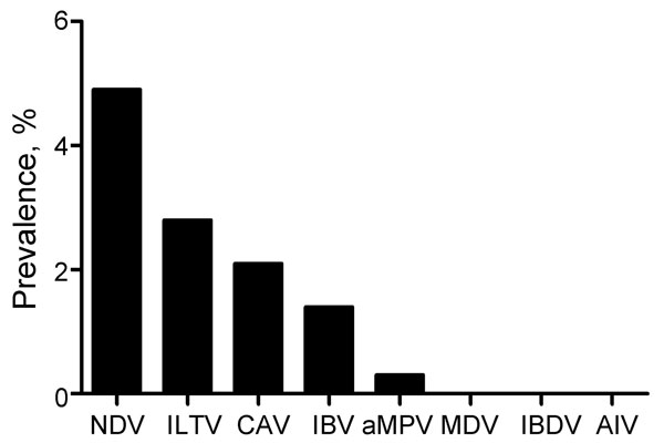 Prevalence of 8 avian viruses detected by reverse transcription PCRs of a subset of 2,427 tracheal and cloacal swab samples collected in live-bird markets, Benin and Togo, 2009. NDV, Newcastle disease virus; ILTV, infectious laryngotracheitis; CAV, chicken anemia virus; IBV, infectious bronchitis virus; aMPV, avian metapneumovirus; MDV, Marek’s disease virus; IBDV, infectious bursal disease virus; AIV, avian influenza virus.
