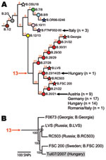 Thumbnail of Existing phylogeny of Francisella tularensis subsp. holarctica. A) Single nucleotide polymorphism (SNP)–based phylogeny of F. tularensis subsp. holarctica derived from previous studies (5,6,8). Terminal subgroups representing sequenced strains are shown as stars, and intervening nodes representing collapsed branches are indicated by circles. Subclades within group B.13 are depicted in red. Isolates from Austria, Germany, Hungary, Italy, and Romania (n = 45) were assigned to existing