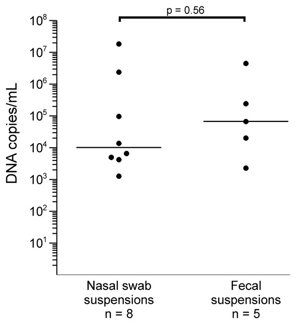 Parvovirus 4 DNA loads in virus-positive nasal and fecal specimens from children, Ghana. Virus concentrations are given on a log scale on the y-axis. Each dot represents 1 specimen. Horizontal lines represent median values for each sample type. For calculation of statistical significance of the difference in viral quantities between sample types, the Mann-Whitney U test was used. Virus quantities in nasal swabs and feces are given for sample suspensions (nasal swabs in 1.5 mL of stabilizing reag