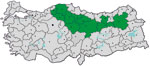 Thumbnail of Provinces in Turkey where the study was conducted and to which Crimean-Congo hemorrhagic fever virus is endemic (green), January–April 2009. Gray indicates other provinces and dots indicate major cities.