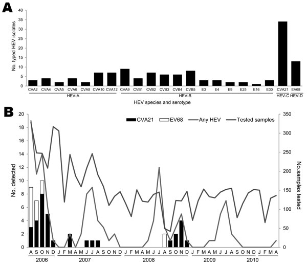 Frequency of human enterovirus (HEV) serotypes detected among adult patients by using sequence analysis of a partial viral protein 1 gene, in Beijing, People’s Republic of China, August 2006–April 2010. A) Number of patients detected for each HEV serotype; B) Seasonal distribution of the HEVs in adults with acute respiratory tract infection. Numbers of samples tested in each month during the study period are shown on the right-side y-axis. CV, coxsackievirus; E, echovirus; EV, enterovirus.