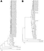 Thumbnail of Phylogenetic analysis of human enteroviruses according to partial viral protein 1 (VP1) nucleotide sequences. The tree was generated with 1,000 bootstrap replicates. Neighbor-joining analysis of the targeted VP1 nucleotide sequence was performed by using the Kimura 2-parameter model with MEGA software version 4.0 (www.megasoftware.net). The scale bars indicate evolutionary distance. GenBank accession numbers for reference serotypes are indicated in parentheses. Each detected strain 