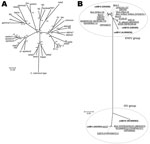 Thumbnail of Phylogenies of the intimin subtypes and the cdtB genes of 275 eae-positive strains from humans, animals, and the environment that had been originally identified by routine diagnostic protocols as enteropathogenic or enterohemorrhagic Escherichia coli. A) Neighbor-joining tree constructed based on the amino acid sequences of 30 known intimin subtypes and previously undescribed 5 intimin subtypes (N1–N5) that were identified. The sequences of the N1–N5 alleles are substantially diverg