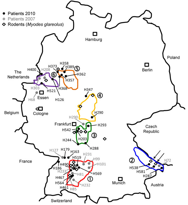 Distribution of investigated Puumala virus infections in Germany. Black dots indicate sequences obtained from patients samples in 2010; gray dots indicate sequences obtained from patient samples in 2007; diamonds indicate sequences obtained from rodent (Myodes glareolus) samples. Areas surrounded by lines indicate outbreak regions (numbered 1–6) where Puumala virus nucleotide sequences of human and vole origin have been analyzed. Numbers of the outbreak regions/virus clades and designations of l