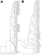 Thumbnail of Phylogenetic analyses of viral protein 1 sequences of enterovirus 71 and echovirus 13 strains with those of reference strains representing different genogroups and subgenogroups within a serotype, India, 2007–2009. Multiple sequence alignments were performed by using ClustalW program (www.genome.jp/tools/clustalw/) and phylogenetic analysis by MEGA5 program (12) with pairwise comparison and maximum composite likelihood nucleotide substitution model. Phylogenetic trees were construct