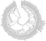 Thumbnail of Phylogenetic tree of viral protein 1 sequences of coxsackievirus B1–B6 isolates generated in comparison with those of strains belonging to different genotypes of B1, B2, B3, B4, B5, and B6 serotypes, India, 2007–2009. Multiple sequence alignments were performed by using ClustalW program (www.genome.jp/tools/clustalw/) and phylogenetic analysis by MEGA5 program (12) with pairwise comparison and maximum composite likelihood nucleotide substitution model. Phylogenetic trees were constr