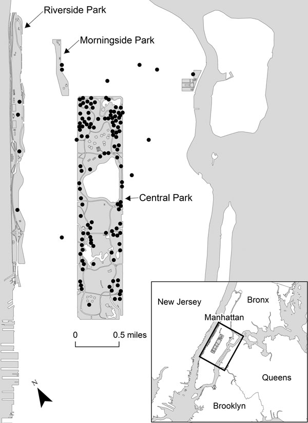 Location of rabid raccoons in and around Central Park, New York City, New York, USA, December 1, 2009–December 1, 2011. Each dot represents a rabid raccoon.