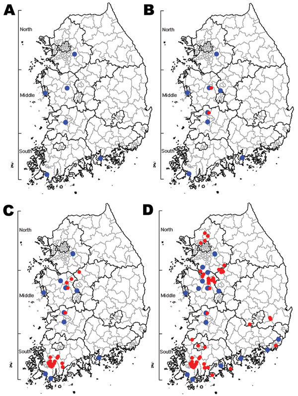 Progress of highly pathogenic avian influenza (HPAI) outbreak by time, South Korea, 2010–2011. A) HPAI-positive cases identified from samples collected November 26–December 28, 2010 (wild birds, 6 cases). B) Cases identified by January 4, 2011 (wild birds, 10 cases; poultry, 2 cases). C) Cases identified by January 11, 2011 (wild birds, 13 cases; poultry, 23 cases). D) Cases identified by May 16, 2011 (wild birds, 20 cases; poultry, 53 cases). Blue circles indicate locations where HPAI viruses w