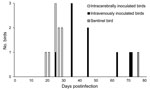 Thumbnail of Timing of the first detection of avian bornavirus (ABV) RNA in cockatiels that had been intracerebrally or intravenously inoculated with ABV. ABV RNA was amplified significantly earlier in samples from intracerebrally inoculated birds compared with intravenously inoculated birds (α = 0.05 by using the Wilcoxon-Mann-Whitney test). A noninoculated sentinel bird, which was housed with the intracerebrally inoculated group of cockatiels, was the last bird to shed ABV RNA.
