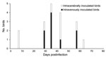 Thumbnail of Timing of the first detection of antibodies against avian bornavirus (ABV) in cockatiels that had been intracerebrally or intravenously inoculated with ABV. The time of ABV antibody detection did not differ substantially between the 2 inoculation groups.