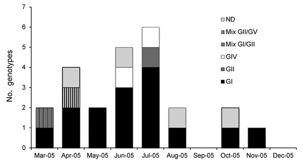 Distribution of sapovirus (SaV) genotypes in children ≤5 years of age from Nicaragua, March–December 2005. A total of 16 (64%) children were infected; 4 children (16%) were infected with genogroup II (GII), and 3 (12%) were infected with GIV. SaV infections were most frequently diagnosed during June–July 2005, in the rainy period. ND, not determined