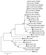 Thumbnail of Phylogenetic analysis of the partial N terminal capsid gene (339 bp) of SaV strains identified in a pediatric population in Leon, Nicaragua, March 2005–September 2006. The tree was constructed on the basis of the Kimura 2-parameter and neighbor-joining methods with MEGA5 software (www.megasoftware.net). Bootstrap values are shown at the branch nodes (values ≤50% are not shown). The black squares represent SaV reference strains GI–GV. For Nicaraguan strains, the number of the strain 