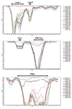 Thumbnail of SimPlot analyses for identifying recombination sites in the hexon gene (A), penton base gene (B), and fiber gene, including the outside of the coding sequence, (C) of human adenoviruses (HAdVs). The x-axes indicate nucleotide positions in these genes, and the y-axes indicate similarities between HAdV-65 and other HAdV-D reference strains. Parameters used were a 200-bp window, a 20-bp step, and a Kimura 2-parameter. HVL1; hypervariable loop 1; RGD, Arg-Gly-Asp.