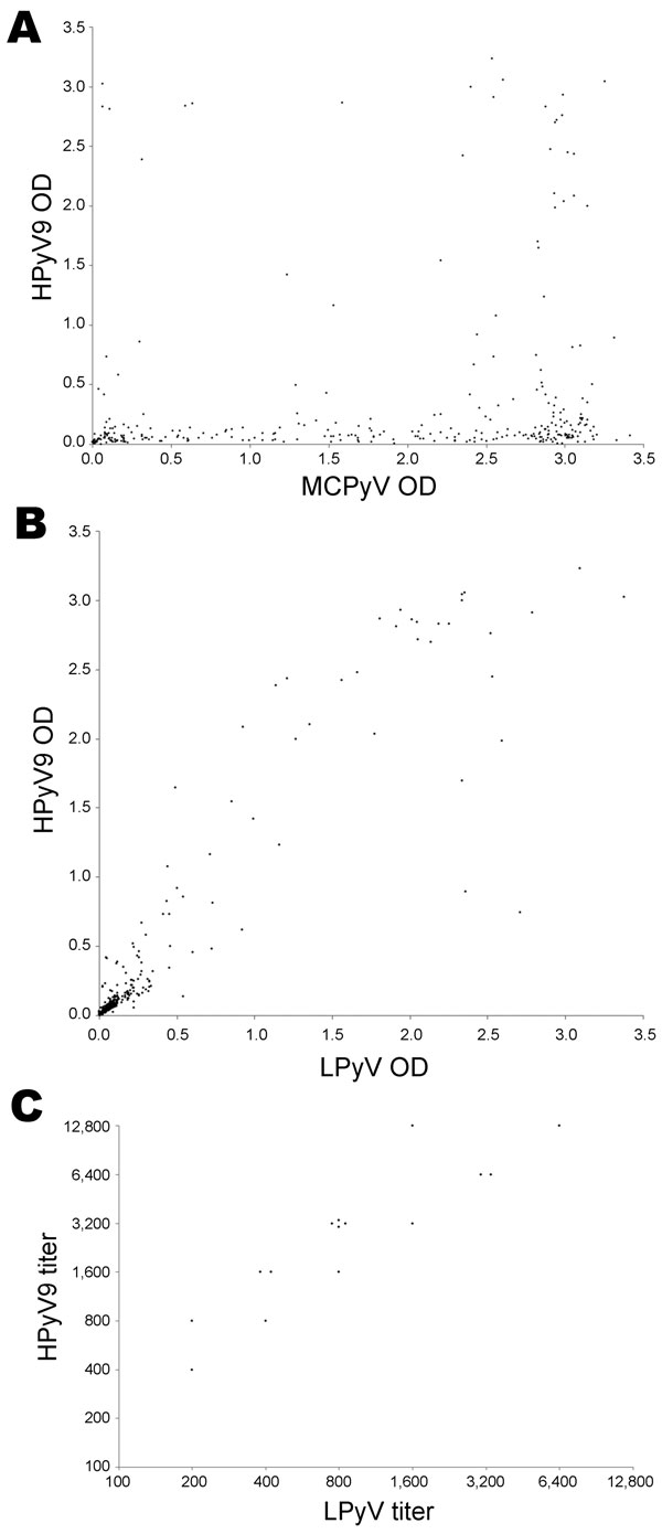 Cross-reactivity between human polyomavirus 9 (HPyV9), simian lymphotropic polyomavirus (LPyV), and Merkel cell polyomavirus (MCPyV) virus-like particles (VLPs). Correlation between A) seroreactivity of 325 serum samples from children and adults in Italy against HPyV9 VLPs and B) LPyV VLPs and MCPyV VLPs was analyzed by ELISA. Each point represents 1 serum sample. Correlation coefficients (Spearman) were determined by using XLStat software (Addinsoft, Paris, France). Correlation coefficient was 