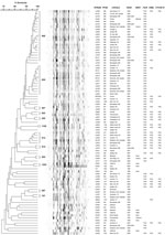 Thumbnail of Pulsed-field gel electrophoresis profile dendrogram of 87 diverse isolates of Escherichia coli ST131. Isolates for the dendrogram, which represent a 15% subsample of the total population (n = 579), were selected randomly after deliberate inclusion of 2 representatives of each pulsotype with &gt;6 members (indicated by brackets) plus the earliest previously reported isolate (from 1985) and the earliest present isolate (from 1967). YEAR, year of isolation or submission to reference la