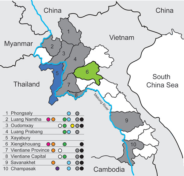 Areas sampled and location of subtyped avian influenza viruses (H5N1), Laos, 2009–2010. Provinces that had previous outbreaks of highly pathogenic avian influenza and were part of the survey are indicated in gray, the province that had a previous outbreak but was not part of the survey is indicated in blue, and the province that had not had an outbreak but was part of the survey is indicated in green. Colored dots indicate presence of viruses: light blue, anti-H5 (clade 2.3.4); gray, anti-H9 lin