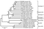 Thumbnail of Phylogenetic tree based on the complete genomic sequences of ferret hepatitis E viruses (HEVs) and human, rabbit, swine, avian, and rat HEV strains. Names of HEV strains follow GenBank accession numbers. Sequence alignment was performed by using ClustalW in the MEGA5.0 software package (www.megasoftware.net), and the trees were constructed by using the neighbor-joining method with p-distance (gap/missing data treatment; complete deletion) and 1,000 bootstrap replicates as in MEGA ve