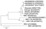 Thumbnail of Phylogenetic tree of orthoreoviruses based on partial sequence alignment of the major outer capsid protein (S4 gene segment). GenBank accession number for each sequence is in parentheses after the virus name. Numbers at nodes indicate bootstrap values based on 1,000 replicates. Dots indicate viruses isolated from 3 travelers who had returned from Indonesia to Hong Kong during 2007–2010. Scale bar indicates nucleotide substitutions per site. ARV, avian reovirus; BRV, baboon reovirus;