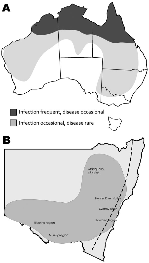 Known distribution of West Nile virus infection and disease caused by Kunjin strain (A) and distribution of encephalitis cases among equids (B), New South Wales, Australia, 2011. Dashed line indicates the Great Dividing Range.