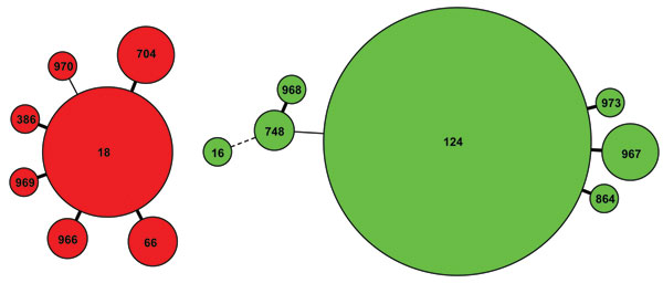 Minimum spanning tree showing the relationship between multilocus sequence types of 33 Haemophilus influenzae serotype e (Hie, red) and 99 Hif (green) strains isolated from patients in England and Wales, 2009–2010. The tree was derived from the 7 multilocus sequence type alleles of each isolate; the number within each circle represents a unique sequence type, and the size of the circle illustrates the proportion of strains with that sequence type (the smallest circle represents 1 isolate). Thick