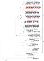 Thumbnail of Phylogenetic tree based on partial (186 nt) sequence of the 5′ end of open reading frame 1 of the hepatitis E virus (HEV) genome (nt 133–318; GenBank accession no. AB291961). Boldface indicates sequence with the highest BLAST scores (http://blast.ncbi.nlm.nih.gov/Blast.cgi); red (italics) indicates sequences obtained from a swine in Belgium with HEV genotype 4 (8) and a human in Germany with autochthonous HEV infection (9); blue (underlining) indicates sequences obtained from humans