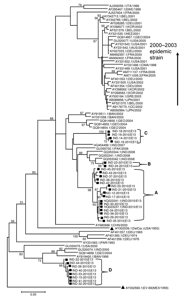 Phylogenetic tree based on alignments of partial viral protein 1 gene sequences of echovirus 13 (EV13) constructed by the neighbor-joining method implemented in MEGA version 5.05 software (7) by using the Kimura-2 parameter nucleotide substitution model. Bootstrap analysis included 1,000 pseudoreplicate datasets. Clusters are labeled A, B, C, and D. Square indicates Uttar Pradesh EV13 from fecal samples. All Uttar Pradesh EV13 isolates on the tree are identified by using the same numbers listed 
