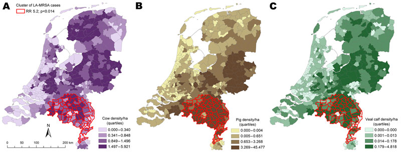 Clusters of livestock-associated methicillin-resistant Staphylococcus aureus (LA-MRSA) in the Netherlands, 2003–2005, taking into account 20% population at risk with overlays showing veal calf density (A), cow density (B), and pig density (C). RR, relative risk.